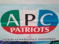 APC Patriots Logo