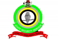 Photo of the DSS Logo